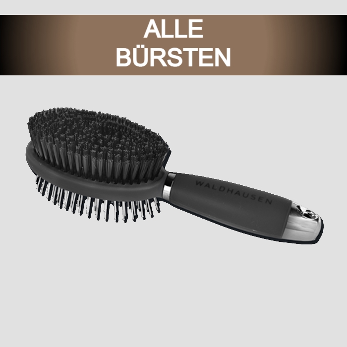 BÜRSTEN